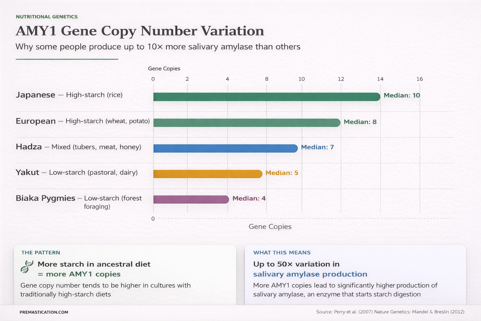 Infographic: AMY1 gene copy number variation across populations — Japanese (median 10), European (median 8), Hadza (median 7), Yakut (median 5), and Biaka Pygmies (median 4), showing correlation between ancestral starch consumption and gene copy number