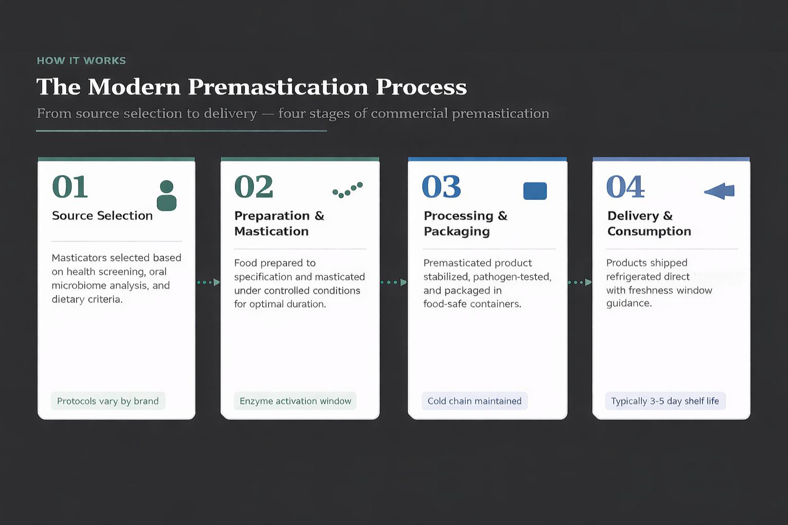Infographic: The four stages of modern commercial premastication — 1. Source Selection (masticator screening), 2. Preparation and Mastication (controlled conditions), 3. Processing and Packaging (pathogen testing, cold chain), 4. Delivery and Consumption (refrigerated direct-to-consumer)